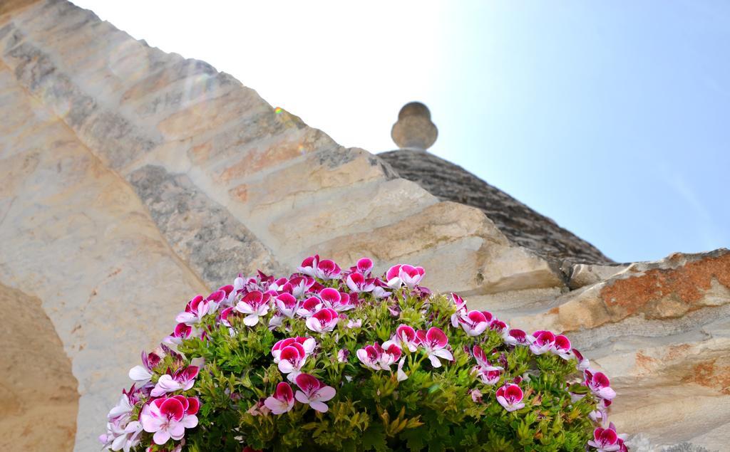 Il Trullo Del Mirto Villa Selva Di Fasano Exterior photo